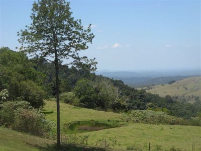 Maleny