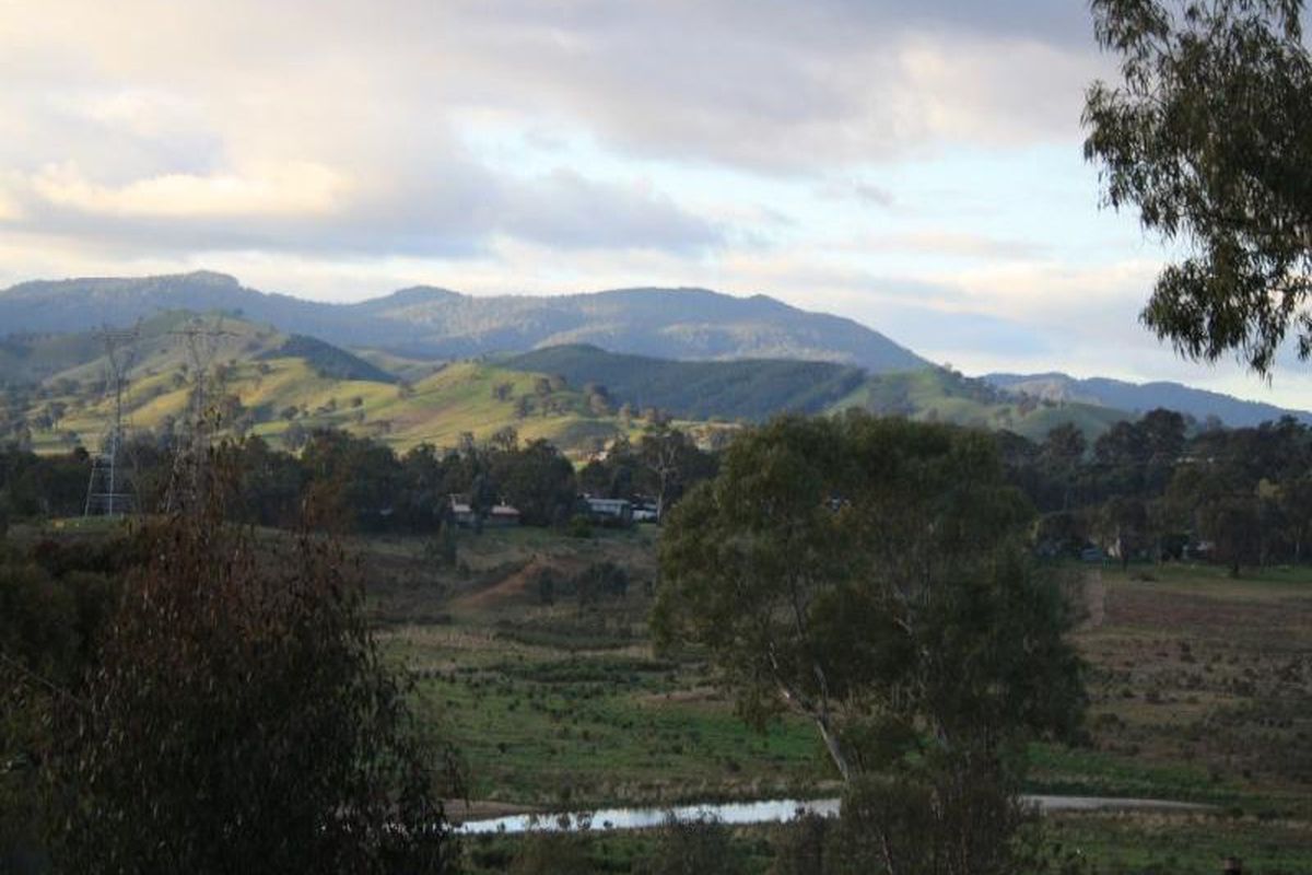 2 Sunset Strip, Bonnie Doon