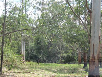 118 Godfrey Hill Road, Koorainghat