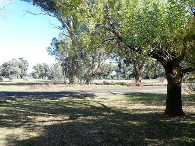 11 Shelton St, Avenel