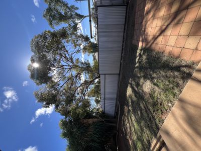 15 Campbell Street, Lamington