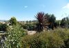 133 Carbine Road, Forest Reefs