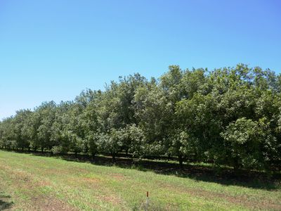 Lot 6 Cook Road, Glass House Mountains