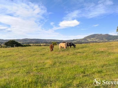 60 Grahams Road, Lancefield
