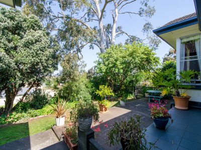 16 Eastview Avenue, Mount Gambier