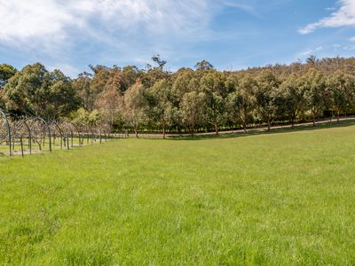 128 Judds Creek Road, Judbury