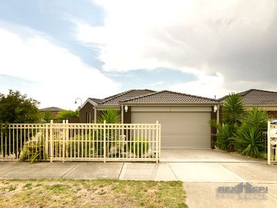 81 Golden Grove Drive, Narre Warren South