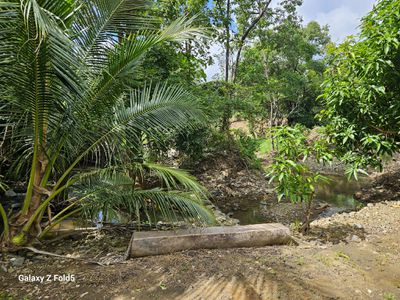 61 Idress Drive, Cooktown