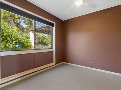 8 Belinda Crescent, Springwood