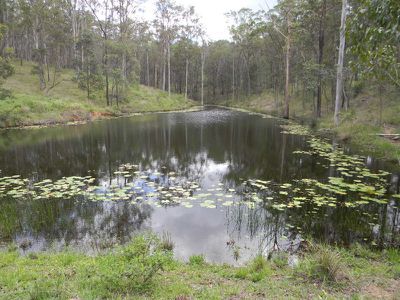 22 Mitchell Creek Road, Kandanga Creek