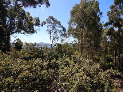 616 Abels Bay Road, Eggs And Bacon Bay