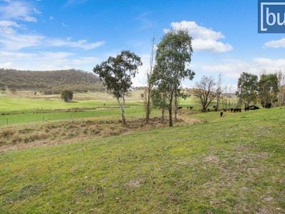 723 Cookinburra Road, Barnawartha North