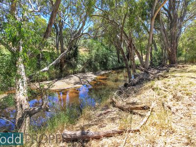 655 Spring Flat Road, Heathcote