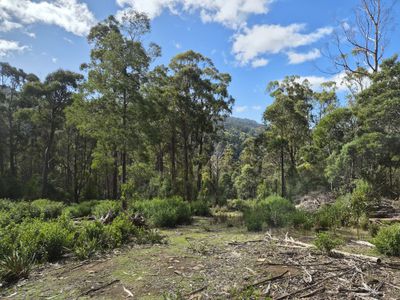 Lot 2, Off Paddys Lane, Franklin