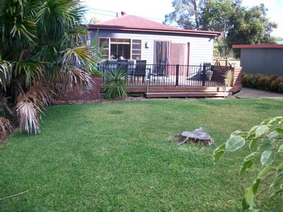 Ourimbah
