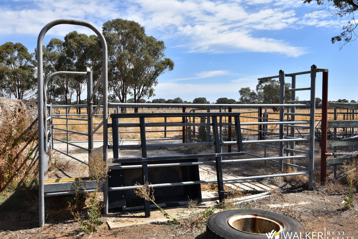 845 Trevaskis Road, Kyabram