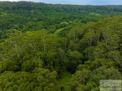774 Terania Creek Road, Terania Creek