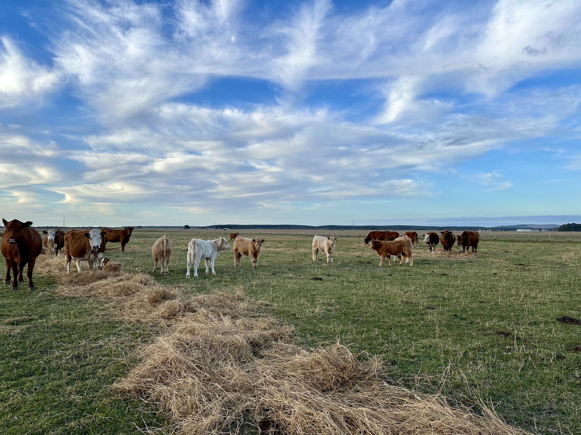 Lot 1, Lot 417 & 429, Sebastopol Springs Rd , Sebastopol