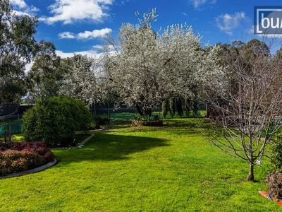 12 Bennett Rd, Thurgoona