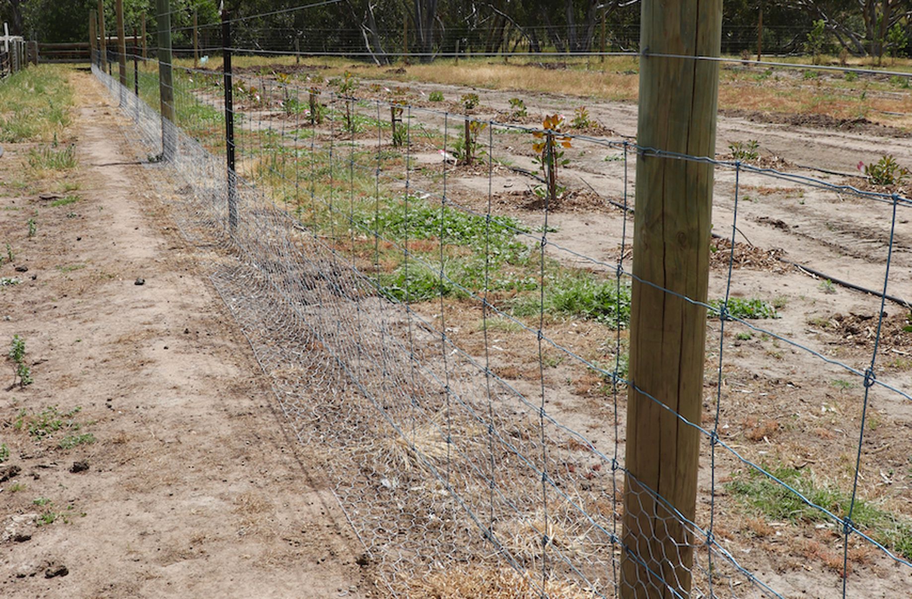 Lot 10, Cambridge Street, Inverleigh