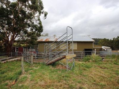 2 Wallace Road, Cygnet