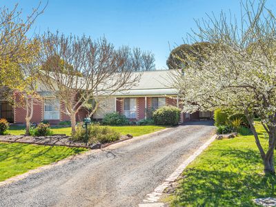 12 Mountain View Way, Gisborne