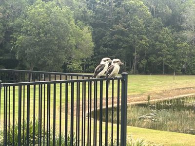 10 Wust Road, Cooroy