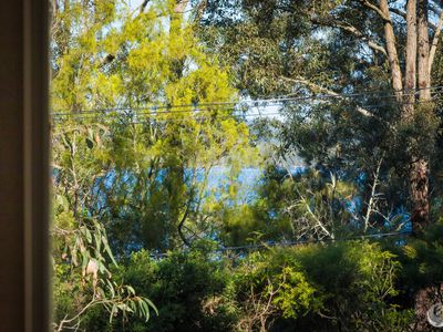 24 Old Princes Highway, Turlinjah