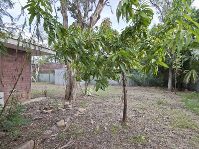 42 Barringtonia Avenue, Kununurra