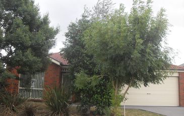 60 Wurundjeri Boulevard, Berwick