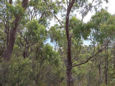 Lot 4 Esperance Coast Road, Surges Bay
