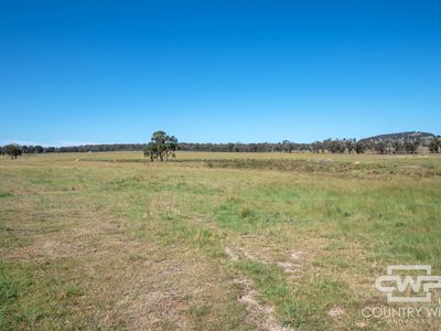 391 Carrot Farm Road, Deepwater