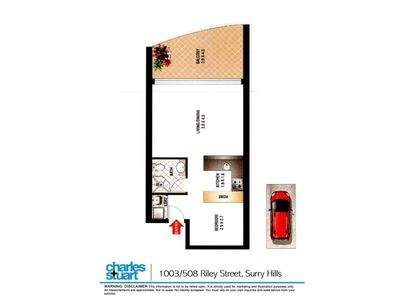 1003 / 508 Riley Street, Surry Hills