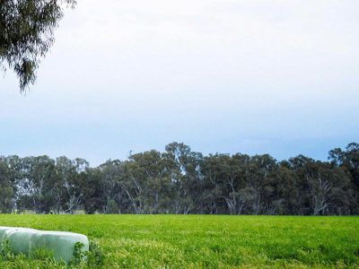 Wodonga