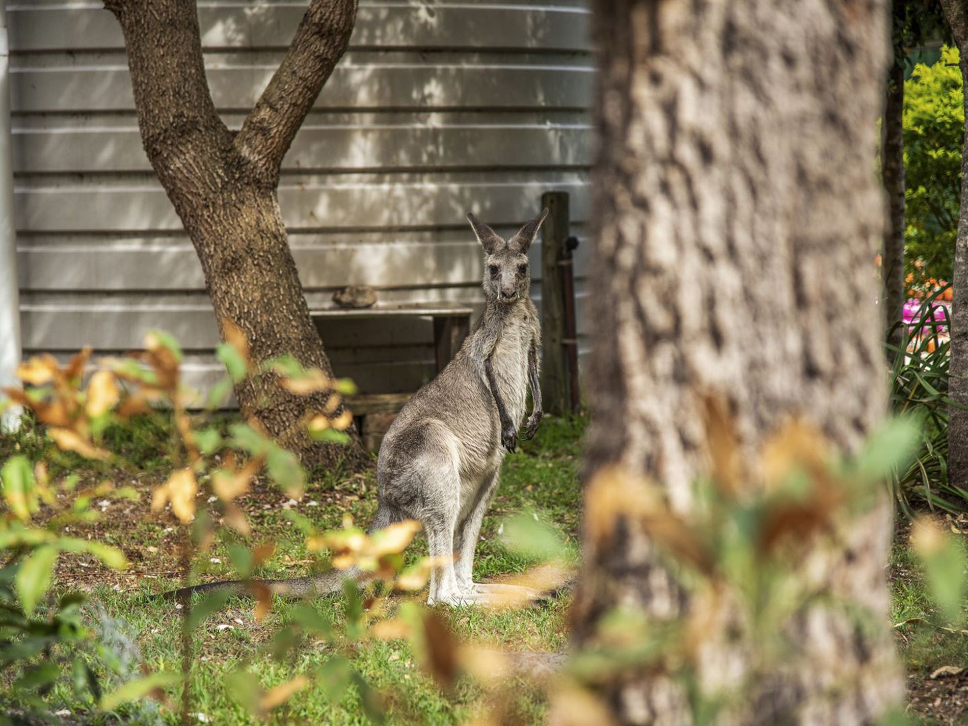42 Lake Conjola Entrance Road, Lake Conjola