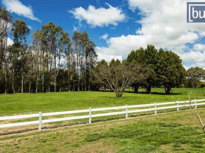 947 Yackandandah-Wodonga Road, Staghorn Flat