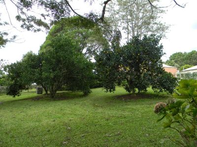 Maleny