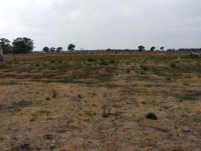 Tocumwal