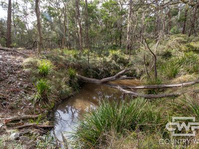 10 Tablelands Road, Red Range