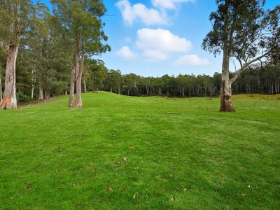 64 Mersey Forest Road, Liena