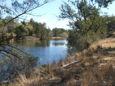 Pindari Dam Road, Ashford