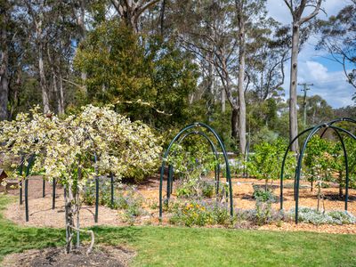 1261 Sheepwash Road, Fitzroy Falls