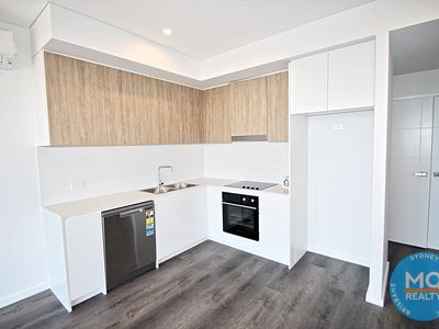 706 / 11 RAPHAEL STREET, Lidcombe