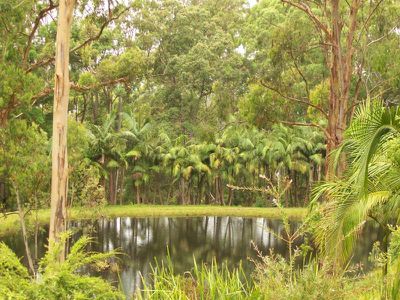 Maleny