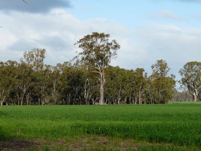 Tocumwal