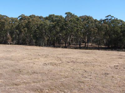 Cartarah Creek Road, Torrington