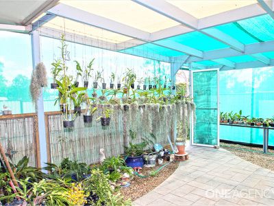 95 Hammond Street, Urangan