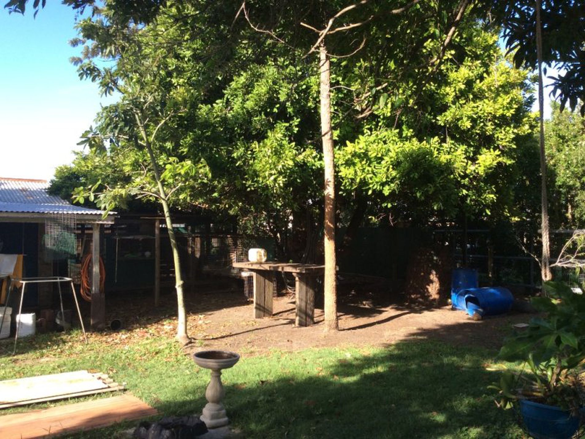54 Faldt Street, Norville