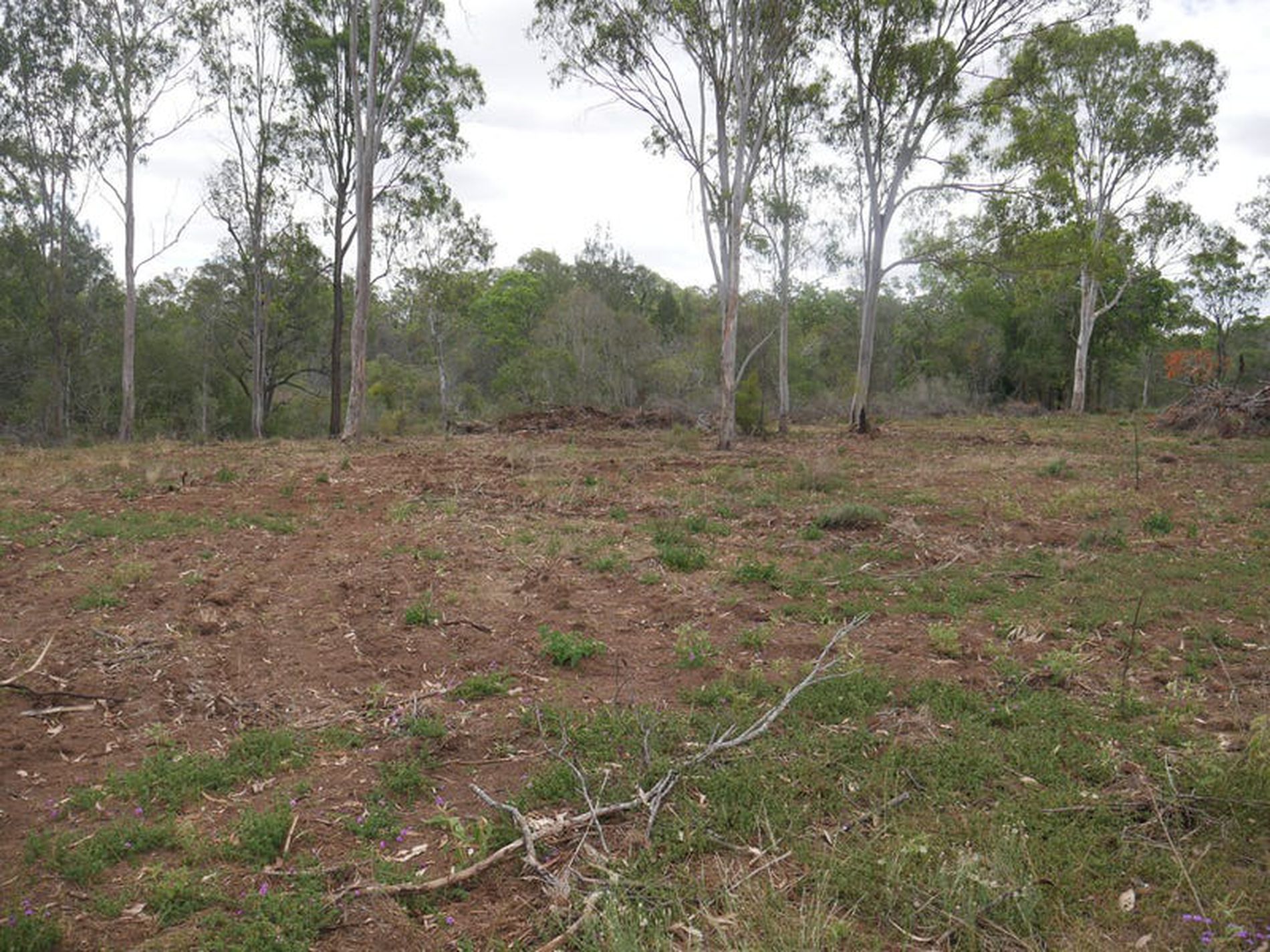 32 Parker Road, Ellesmere
