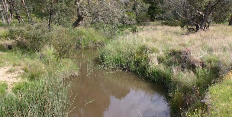 Strathbogie